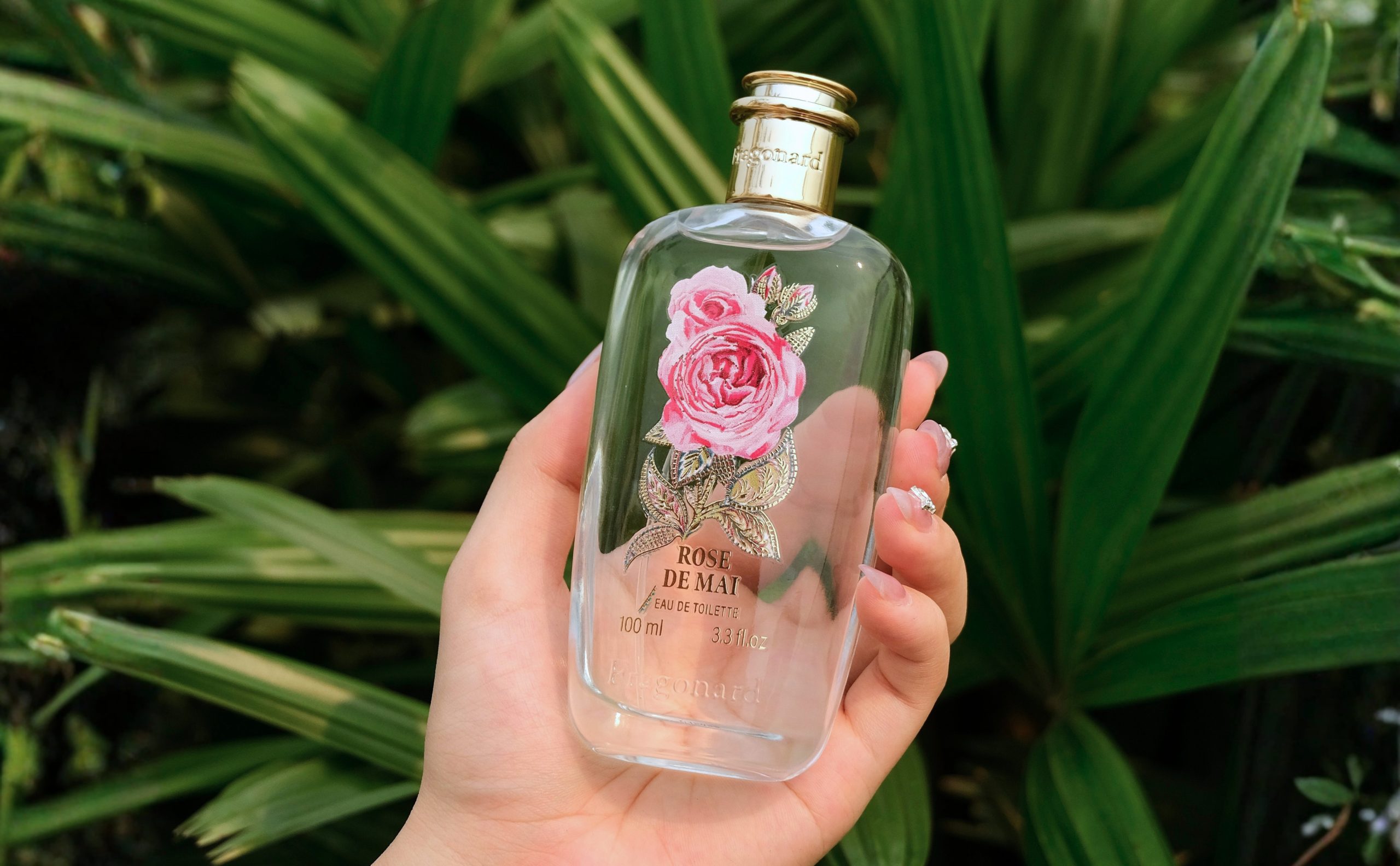 Rose de Mai