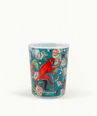 BOIS DANSANT – Nến Giáng Sinh 200gr